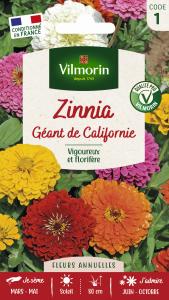 Zinnia géant de Californie mix